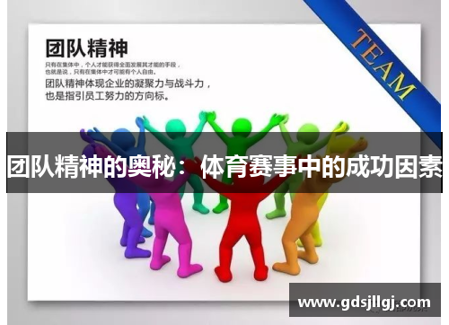 团队精神的奥秘：体育赛事中的成功因素