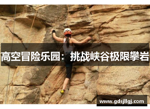 高空冒险乐园：挑战峡谷极限攀岩